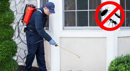 Çaybaşı Fare İlaçlama böcek ilaçlama ve haşere kontrolü — ilaclama-tr.com